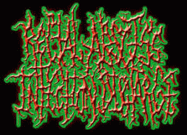 logo Rectal Abscess Infection Discharge